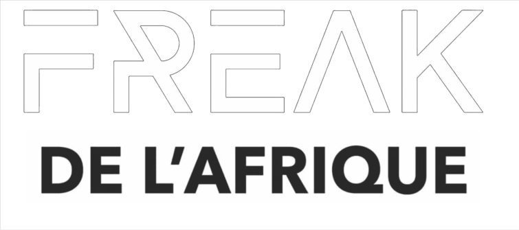 Freak De L Afrique Pushing African Culture Since 12